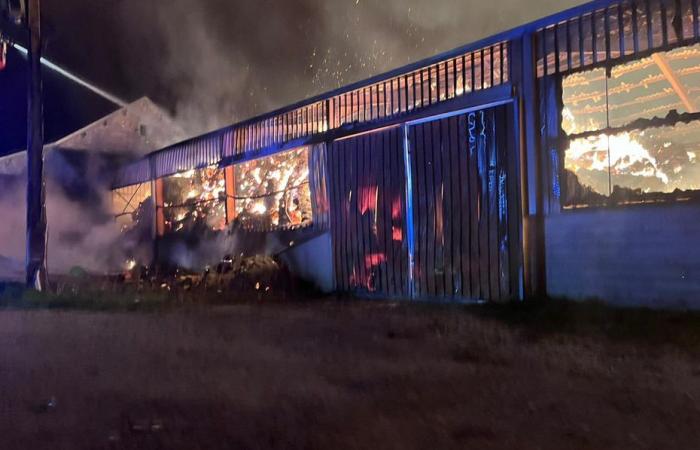 Incendio in un'azienda agricola di 1.000 m² in Côte-d'Or, intervento ancora in corso