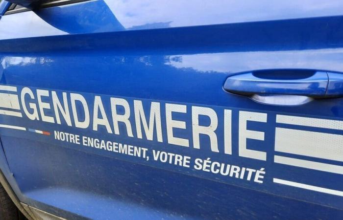 “Attacchi per furti di caravan”: una quindicina di artigiani hanno svaligiato i dintorni di Pagny-sur-Moselle