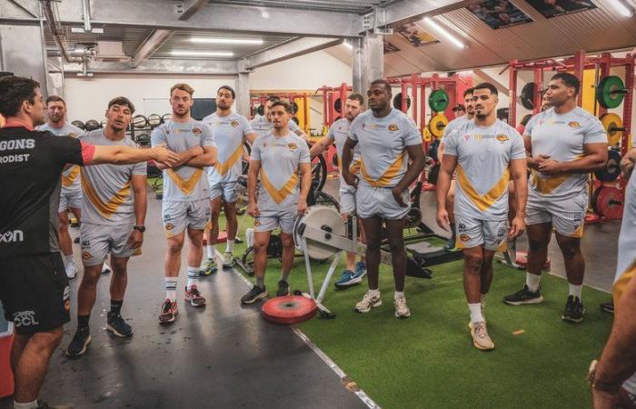 Rugby League: ripresa indoor per i Dragons catalani questo giovedì 7 novembre 2024