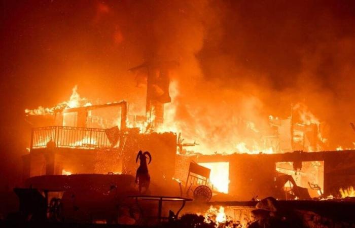 NELLE IMMAGINI. Case devastate, residenti evacuati… Negli Stati Uniti, la California è avvolta dalle fiamme