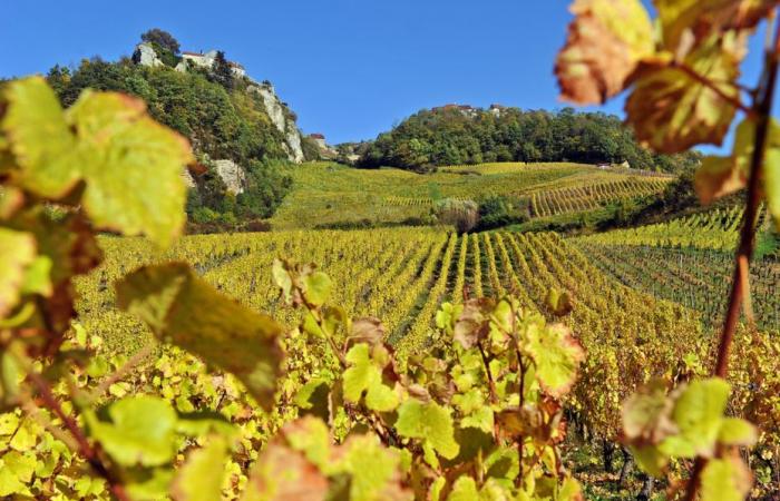 NELLE IMMAGINI. In questa cornice del Giura, il paesaggio è stato finalmente cancellato dai pali e dalle linee elettriche