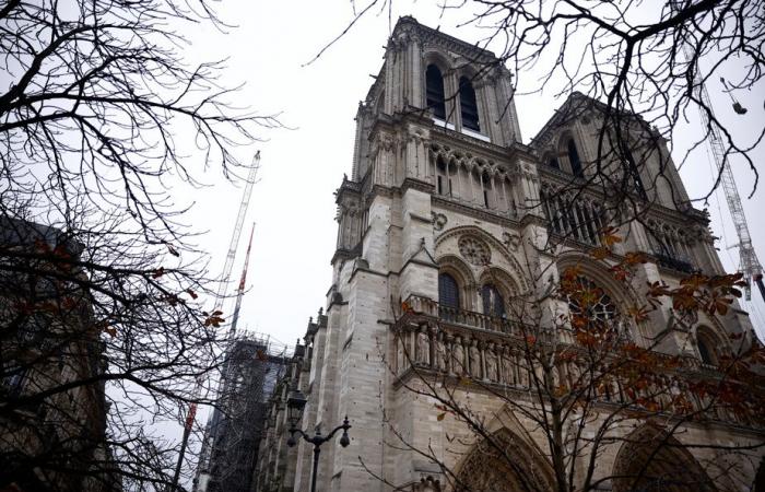 Cinque anni dopo l'incendio | Notre-Dame, emblema di Parigi, pronta a riaprire