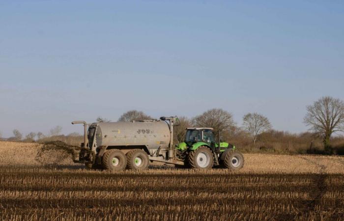 Il prefetto dell'Oise proroga l'irrorazione agricola fino al 15 novembre