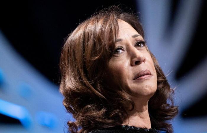 Non è stato Trump a vincere, è stato Harris a perdere.