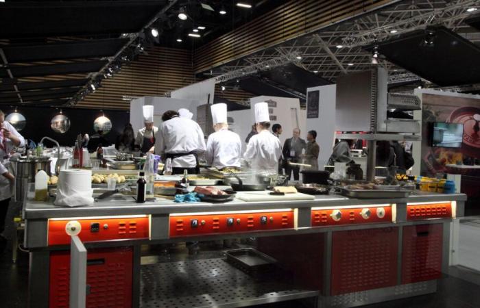 Il cervo protagonista al prossimo Bocuse d’Or