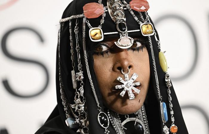 Erykah Badu, nuova icona della moda e attrice emergente