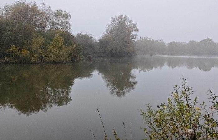 Inizio degli ottavi di finale nello spazio naturale preferito del Pas-de-Calais.