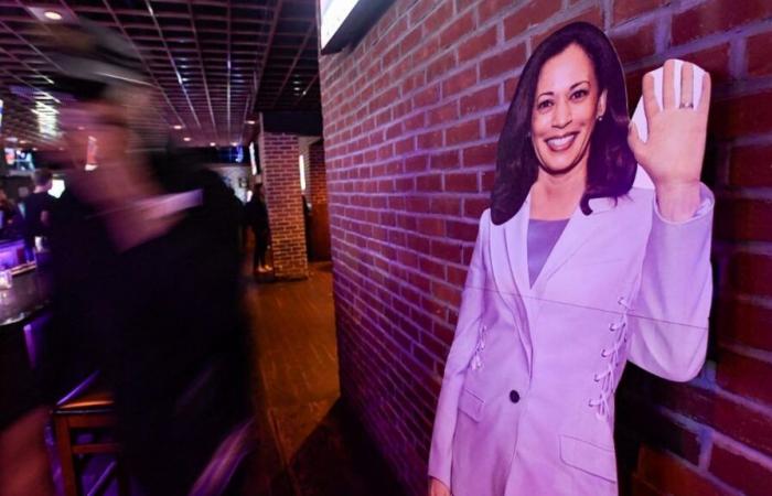 come spiegare la disfatta elettorale di Kamala Harris, largamente battuta da Donald Trump?