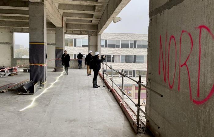 come sarà la gigantesca biblioteca di Pont de Bois?