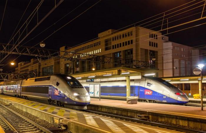 La linea TGV più trafficata della Francia chiuderà questo fine settimana e si prevedono gravi disagi