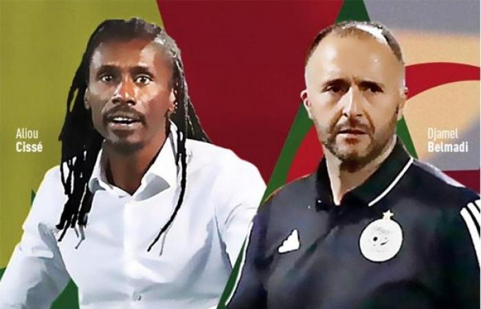 In panchina – Algeria-Senegal: Djamel Belmadi-Aliou Cissé, due allenatori XXL disoccupati – Lequotidien