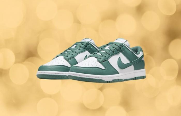 Diventa retrò con queste sneakers Nike Dunk Low a un prezzo stracciato