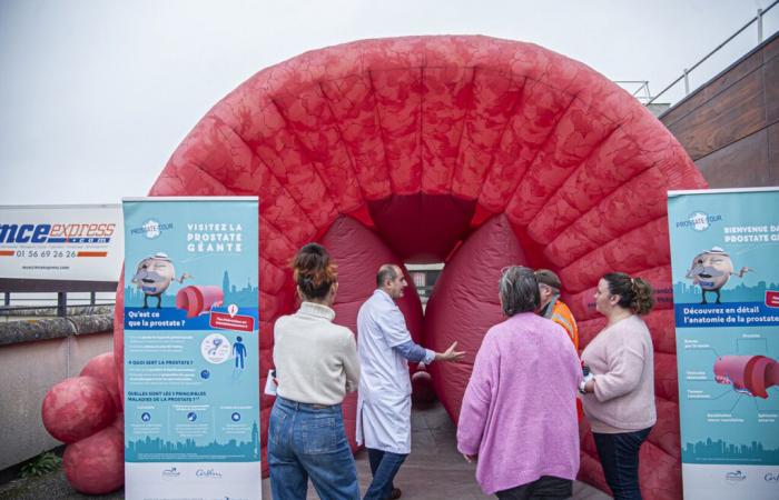 una gigantesca prostata gonfiabile installata in ospedale per sfidare i passanti