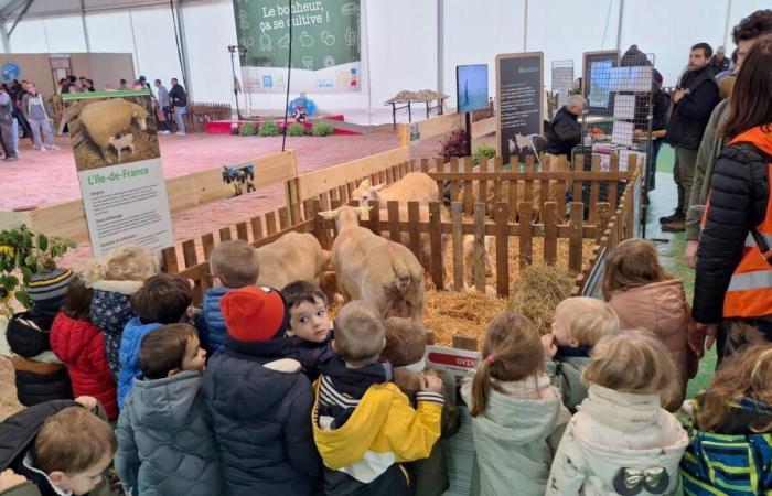 Nelle immagini: la Ferme de Côte-d'Or apre le sue porte alla Fiera Gastronomica di Digione