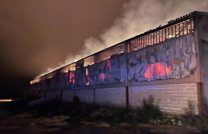 BAIGNEUX-LES-JUIFS: Incendio in un'azienda agricola che produce olio di colza