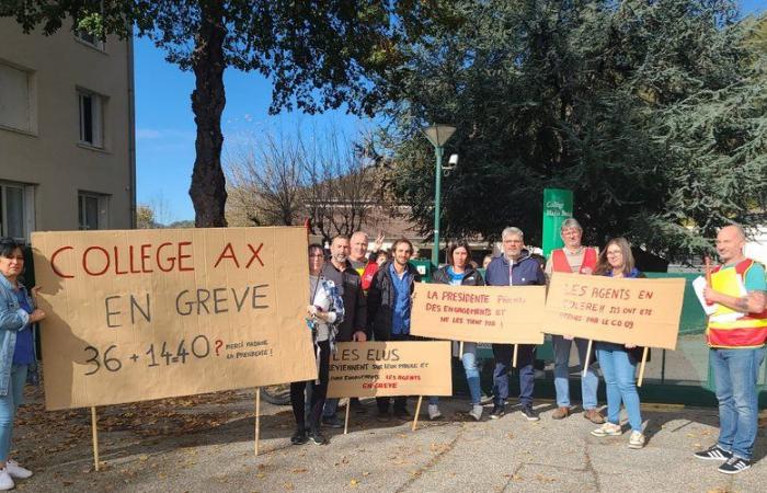 “Gli agenti universitari si lasciano ingannare dai funzionari eletti che vengono meno ai loro impegni”: le università colpite da un movimento di sciopero nell'Ariège