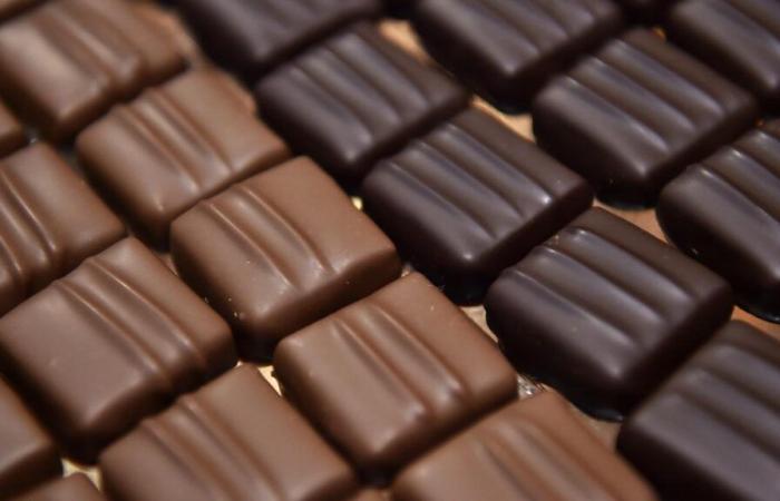 Cos’era questo salone del cioccolato a Yvetot che alla fine non lo era?