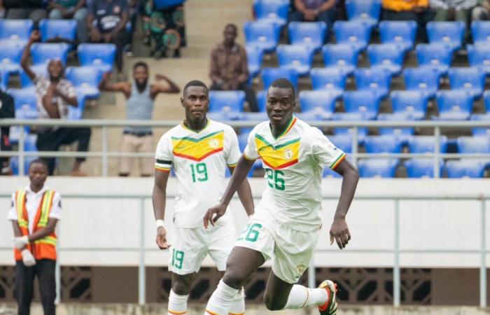 Senegal-Piede: 28 Lions per chiudere le qualificazioni CAN 2025 | APAnews