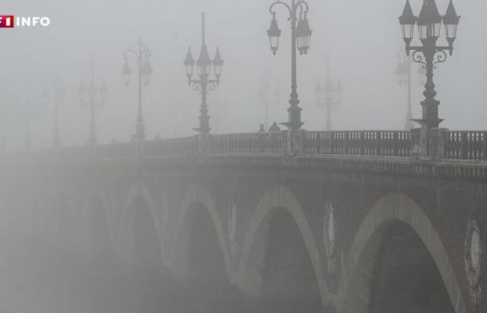 “A Mulhouse non si vedeva una cosa del genere dal 1988”: perché tanta nebbia quest’autunno in Francia?