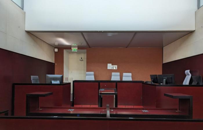 Tribunale di Pontoise: “Il signore prende gli investigatori, la pubblica accusa e il tribunale per idioti”