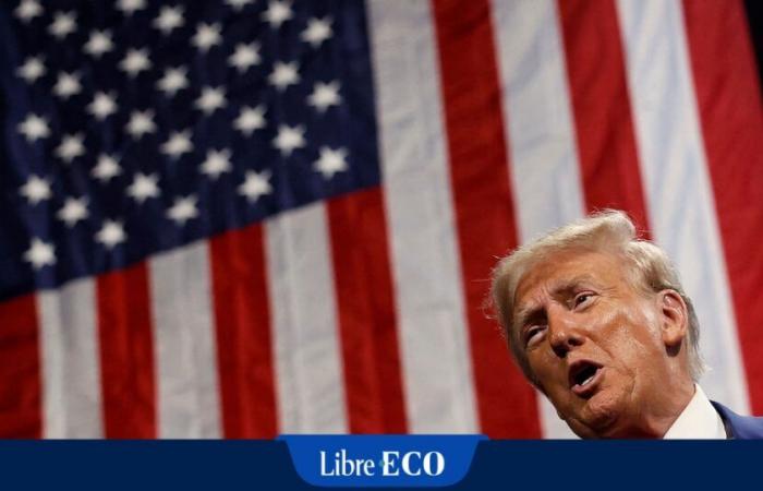 Quali sono le prospettive energetiche di Donald Trump?