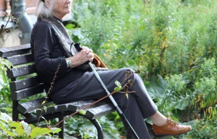 nell'Haute-Vienne, i pensionati hanno scelto questo villaggio per anziani al posto della casa di cura