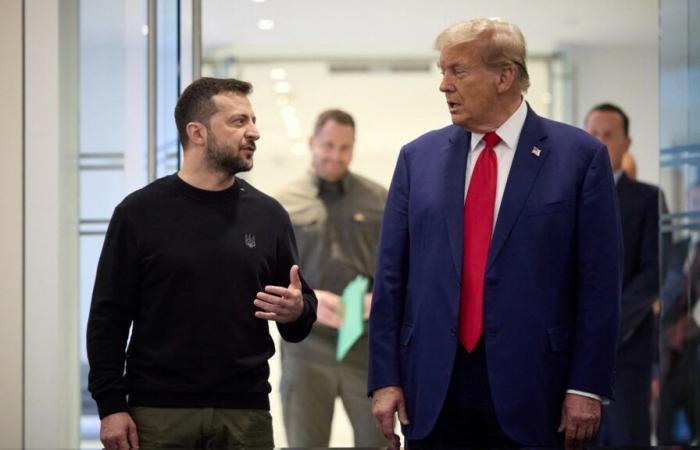 Volodymyr Zelenskyj annuncia di aver avuto uno scambio telefonico “eccellente” con Donald Trump