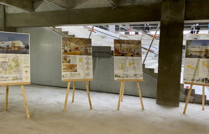 come sarà la gigantesca biblioteca di Pont de Bois?