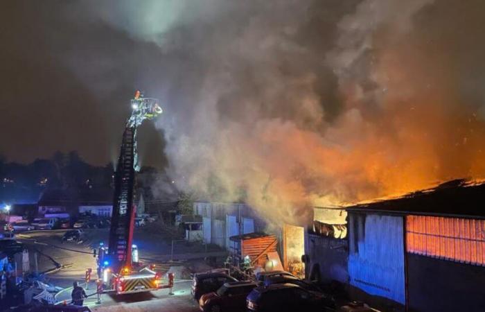 Colmar. Un violento incendio devasta un magazzino di 2000 mq