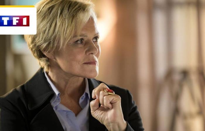 Master Crimes su TF1: la serie con Muriel Robin avrà una stagione 3? – Serie di notizie in TV