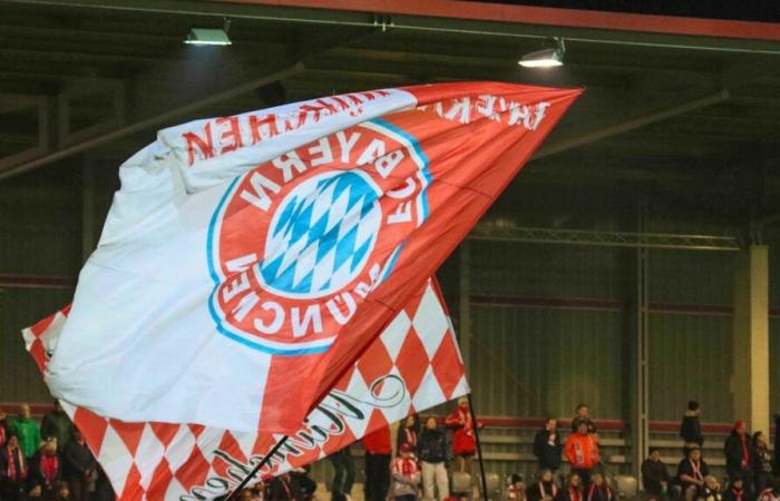 Calcio: muore un tifoso della partita Bayern Monaco-Benfica