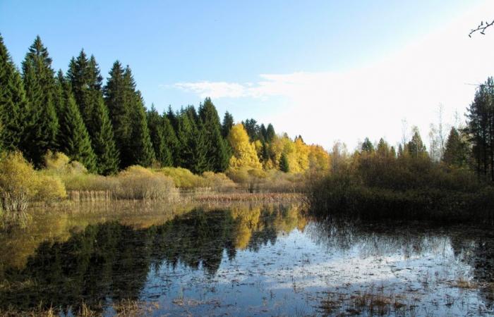 Protezione rivista e rafforzata per tre notevoli siti naturali delle Franches-Montagnes