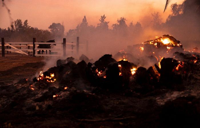 Migliaia di persone minacciate da un incendio vicino a Los Angeles