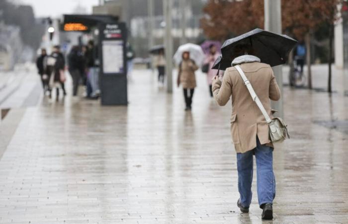 Nell'Indre-et-Loire, il mese di ottobre è stato davvero più piovoso del solito?