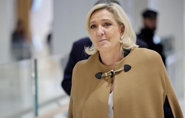 Dopo la vittoria di Trump, Marine Le Pen e Jordan Bardella prudenti, le loro truppe esultano