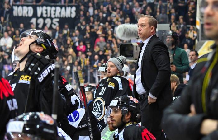 Hockey: Greg Ireland: “La sfida proposta dall’HC Ajoie mi emoziona”