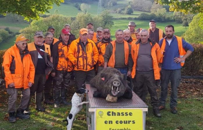 Applauso finale per Phiphi, il cinghiale protagonista dell'Aveyron