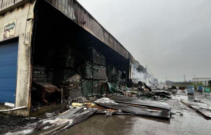 Dunkerque: la sede dell'azienda Kalifrais completamente distrutta da un incendio