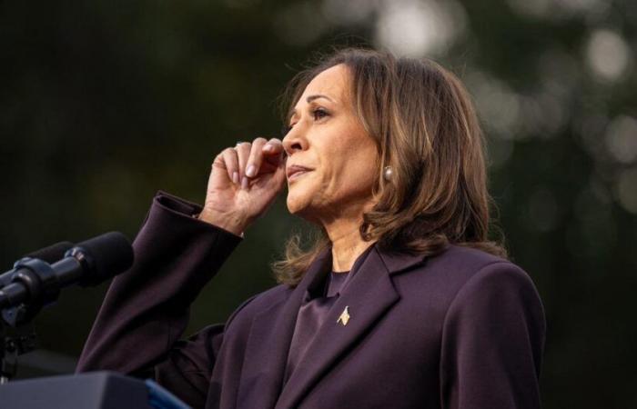 Beyoncé, Taylor Swift o Cardi B… Queste star il cui sostegno non è bastato a Kamala Harris