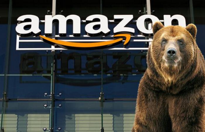 “Non cadere in questa trappola della crescita”, afferma un investitore riguardo alle azioni Amazon