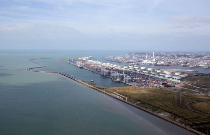 Tre progetti di fabbrica nel porto di Le Havre, un potenziale investimento di 2,7 miliardi di euro