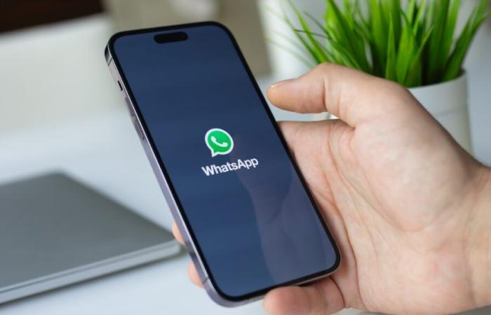 WhatsApp combatte la disinformazione con questa nuova funzionalità