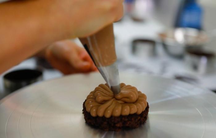 dietro le quinte dei primi due pasticcini di La Rochelle di Nina Métayer