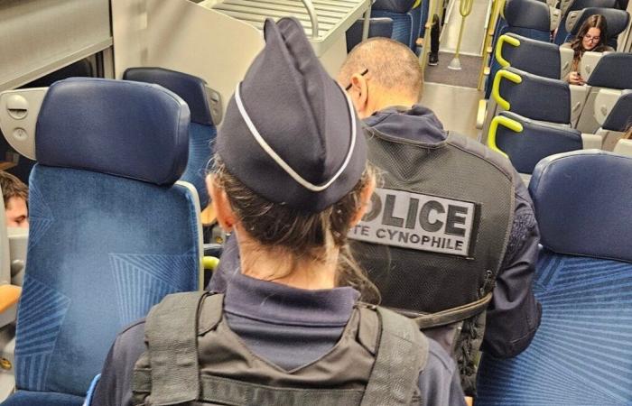 Tarn. Sul treno fugge quando vede la polizia: capiamo perché…