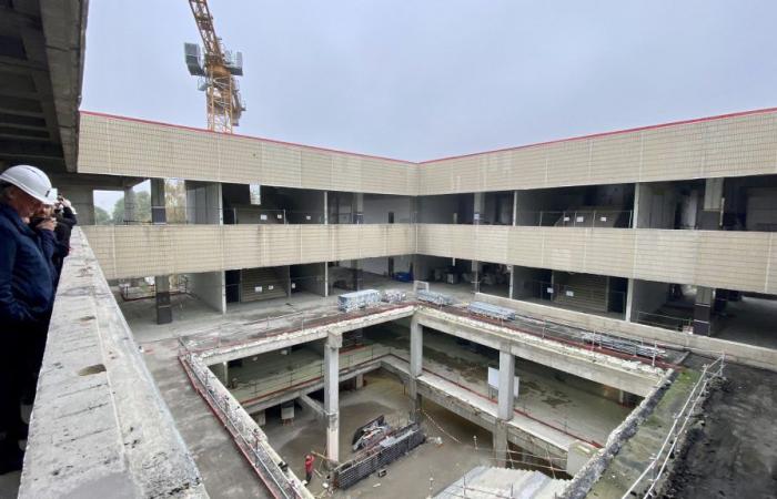 come sarà la gigantesca biblioteca di Pont de Bois?