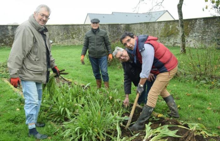 Villaines-la-Juhel. Una serata culinaria attorno alle verdure il 13 novembre