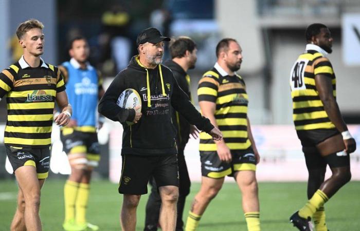 Pro D2 – Stéphane Prosper (Stade Monois): “Lo Stade Monois è una bestia malata che deve essere curata rapidamente”