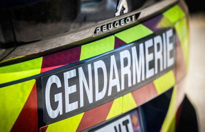 “I gendarmi volevano registrarmi per criminalità organizzata”: ascoltato un cacciatore del South Aveyron per possesso di armi non dichiarate