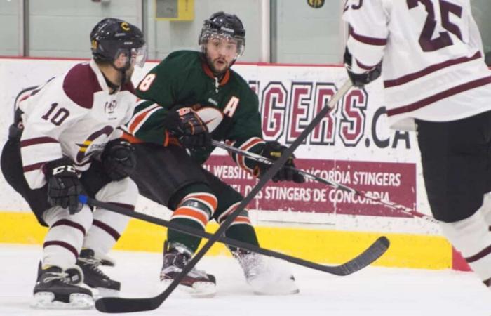 Possibile esodo dei giocatori di hockey del Quebec verso la NCAA: la RSEQ manca il treno