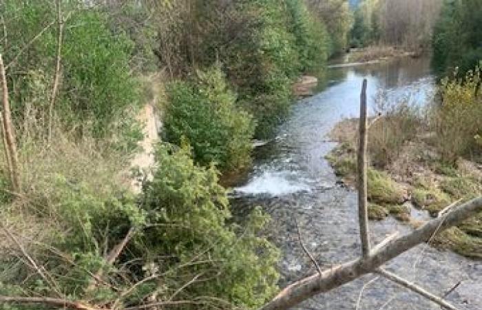 Terribile incidente nell'Hérault: sfonda la barriera della A75, cade sulla strada principale, si ribalta e finisce nel fiume